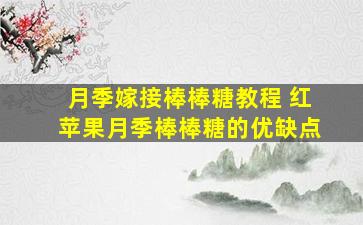 月季嫁接棒棒糖教程 红苹果月季棒棒糖的优缺点